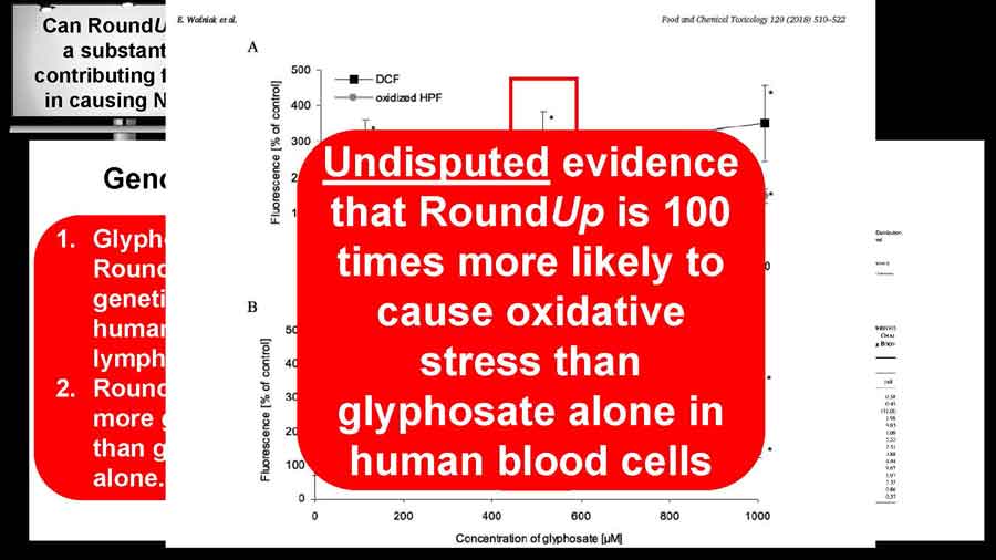 Undisputed evidence that RoundUp is 100 times more likely to cause oxidative stress than glyphosate alone in human blood cells